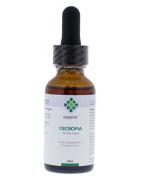 CecropiaOverig gezondheidsproducten8713286026009