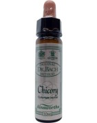 Chicory BachFytotherapie5032587000529