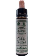 White chestnut BachFytotherapie5032587000796