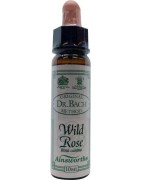 Wild rose BachFytotherapie5032587000826