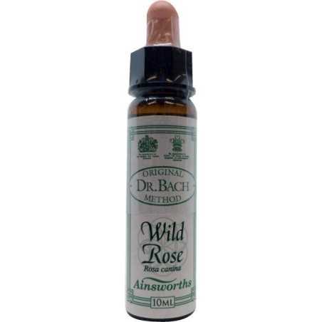 Wild rose BachFytotherapie5032587000826