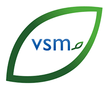 VSM